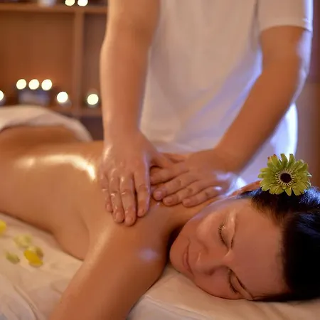 Balaton Wellness Hotel 4*