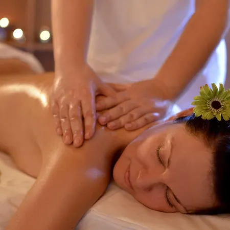 Hotel Balaton Wellness 4*